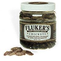 dried crickets