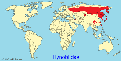 Hynobiidae distribution