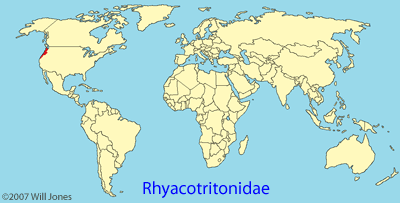 Rhyacotritonidae distribution