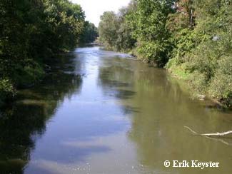 hellbender habitat